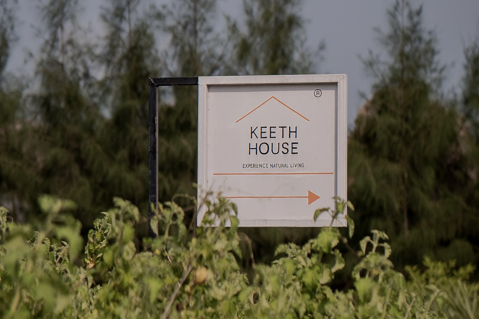 The Keeth House signpost among the fields of Auroville
