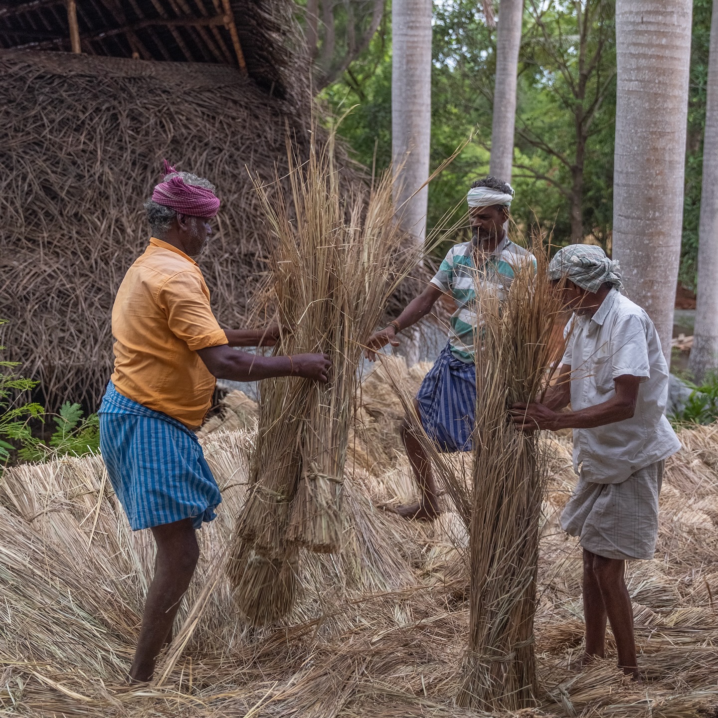 Local artisans preparing traditional thatch materials for Keeth House roofing